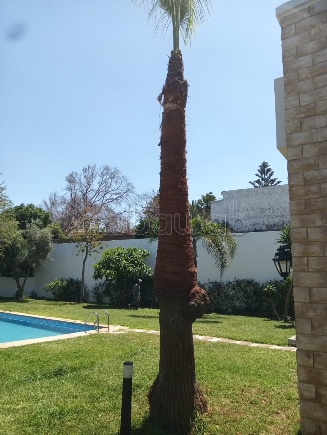 Villa 1000 m² à louer à الدار البيضاء (Dar Bouazza) — Photo 8