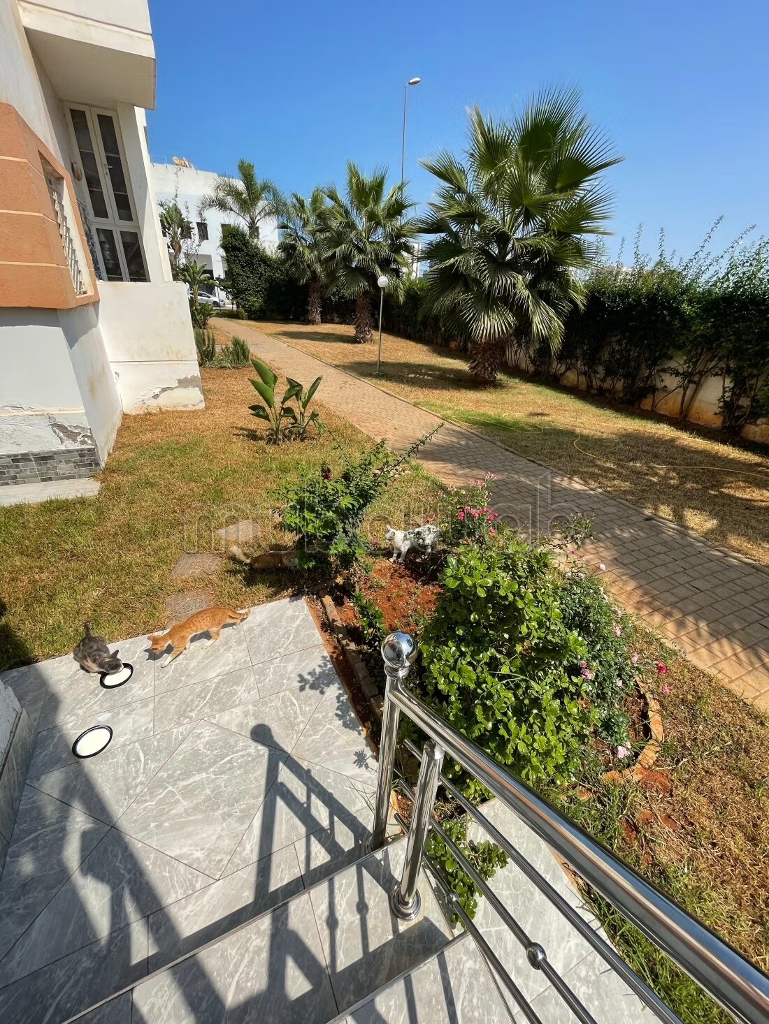 Appartement 2 chambres rénové à vendre à المحمدية — Photo 13