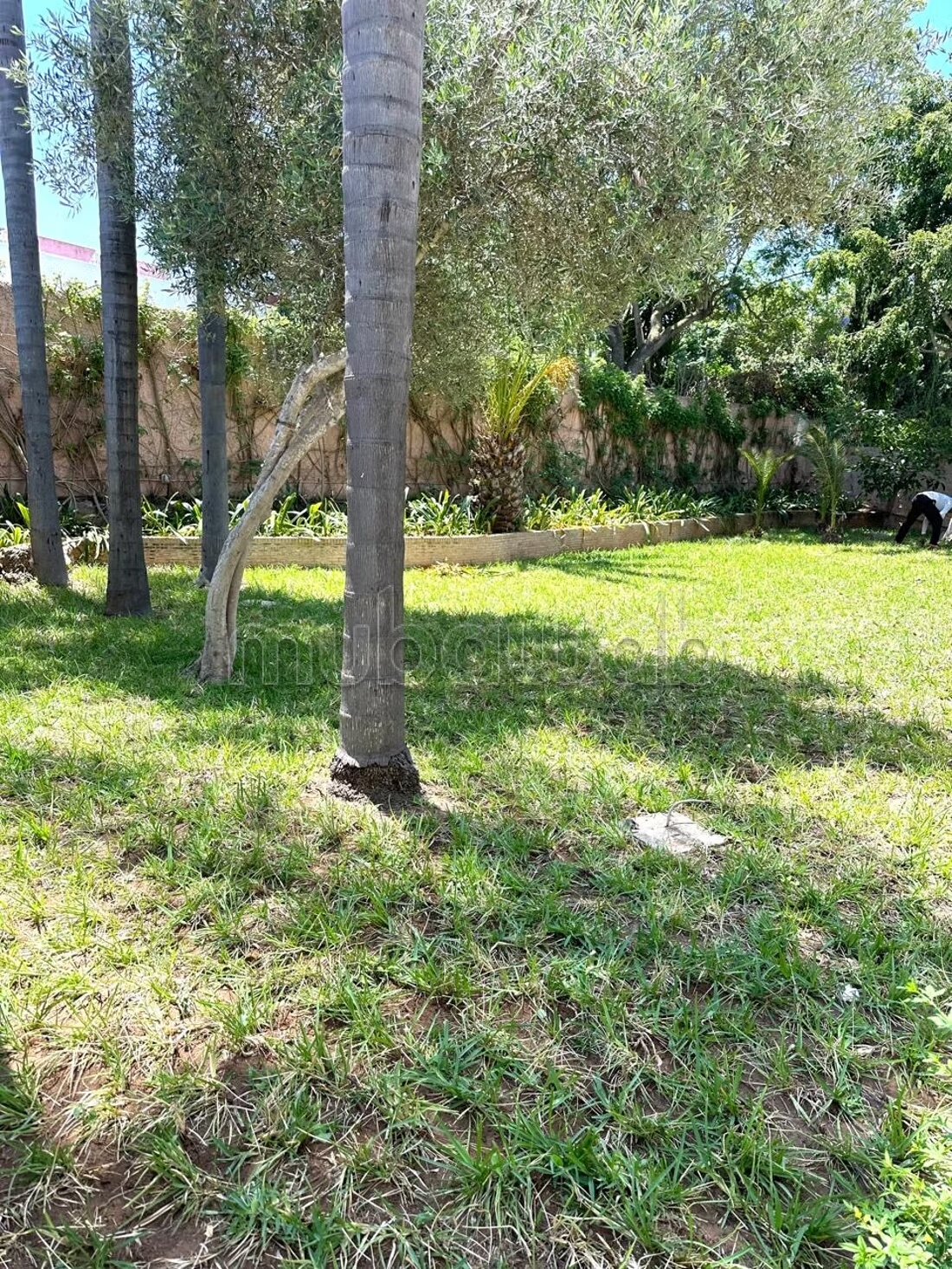 Villa 800 sqm for rent in Souissi, Rabat — Photo 19