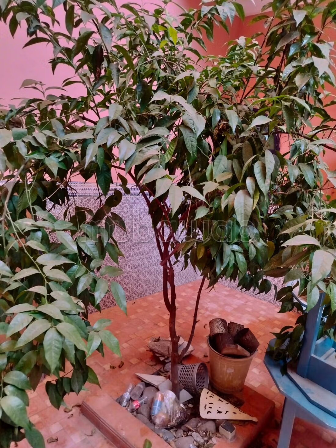 Riad 176 m² à vendre à Marrakech (Riad Zitoune Jdid) — Photo 3