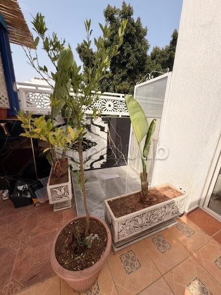 Apartment for rent in Rabat – Hassan district — Photo 19