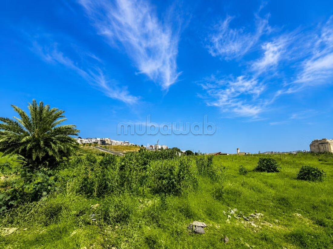 Buildable land 7118 sqm for sale in Tangier — Photo 3