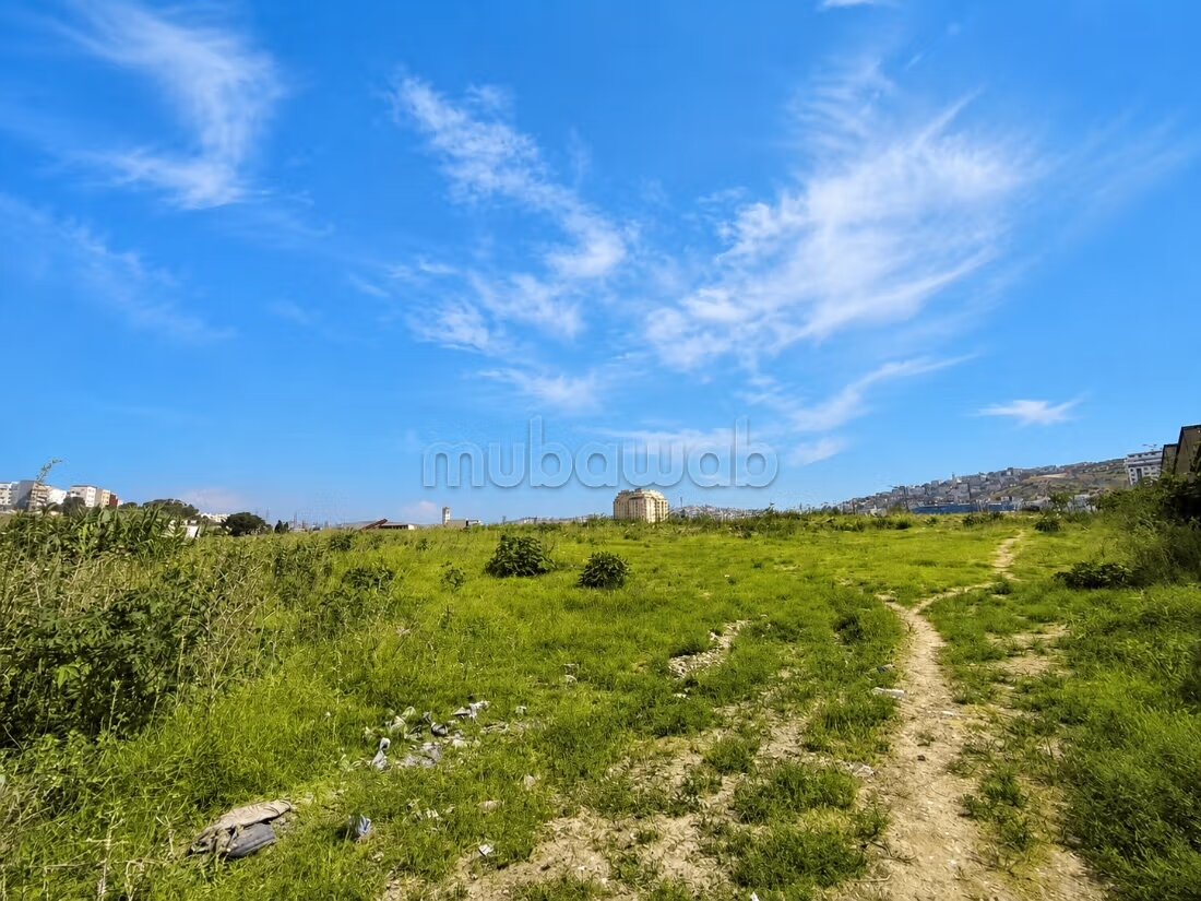 Buildable land 7118 sqm for sale in Tangier — Photo 4