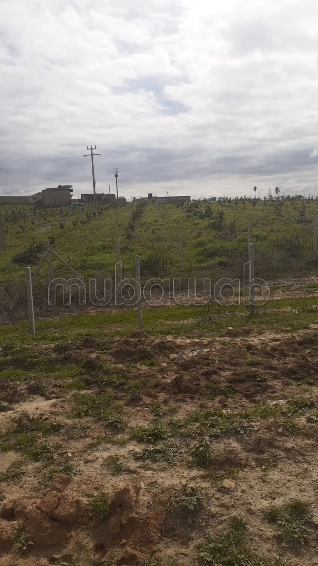 Land 350 hectares for sale — Photo 2