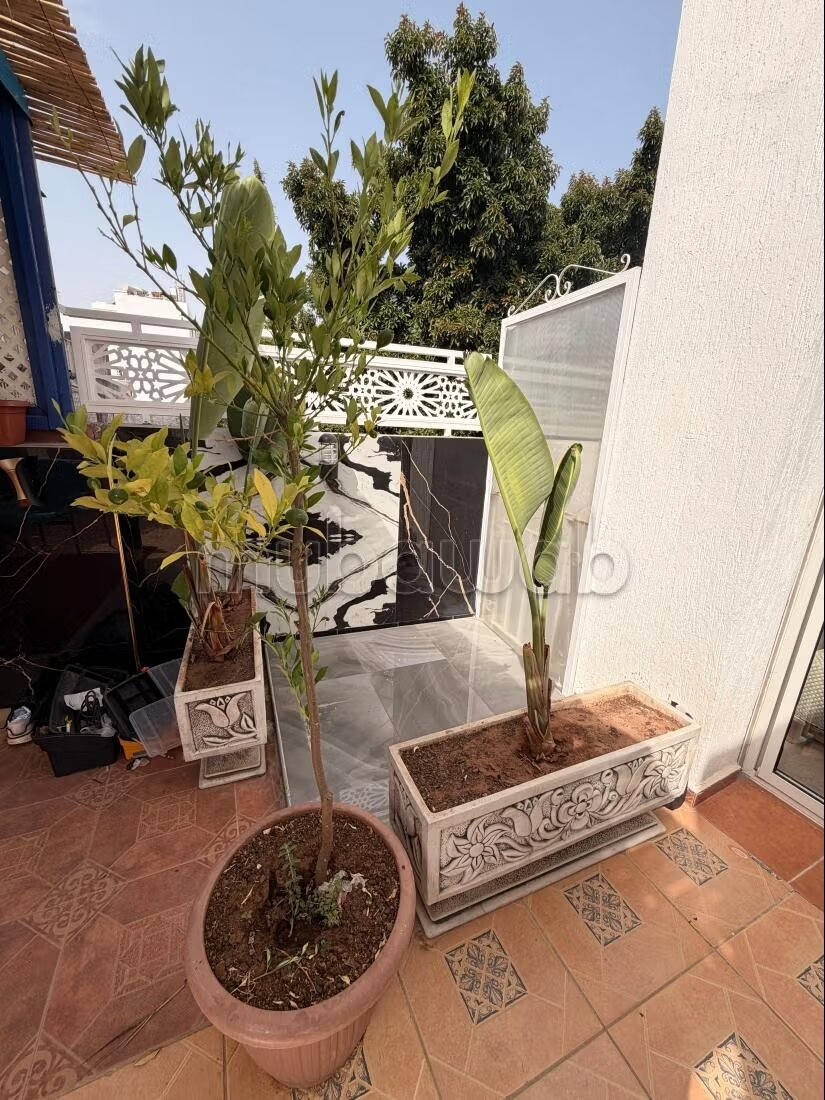 Appartement à louer à Rabat – Haut Hassan à Rabat