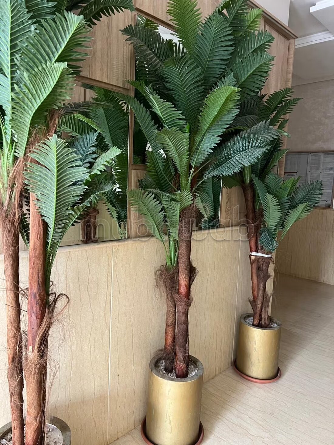 Appartement à louer à Tanger centre — Photo 3