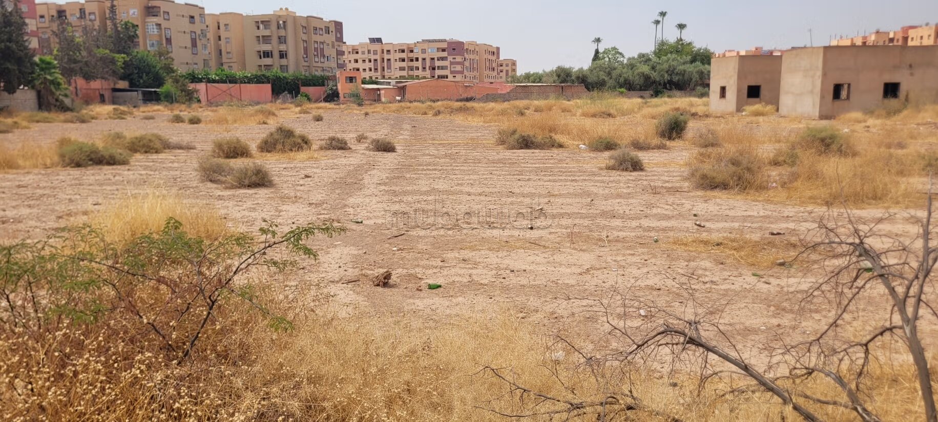 Terrain 12 000 m² à vendre à Marrakech à Marrakech