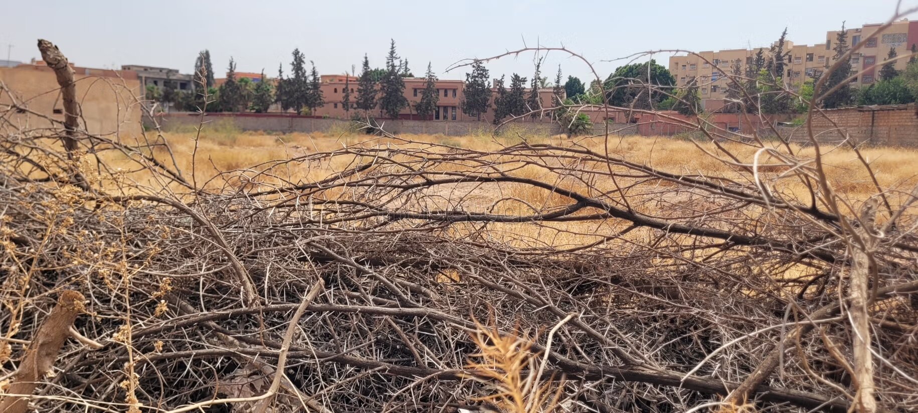 12,000 m² Plot for Sale in Marrakech — Photo 3