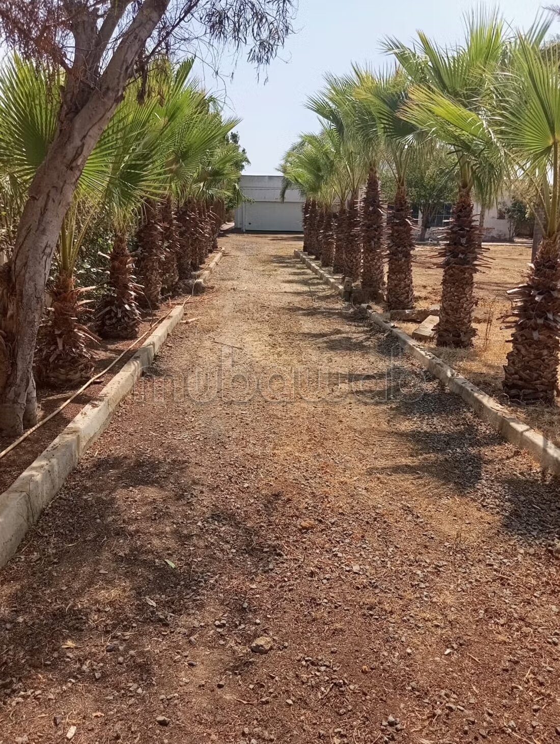 Terrain 5000 m² à vendre à Rabat