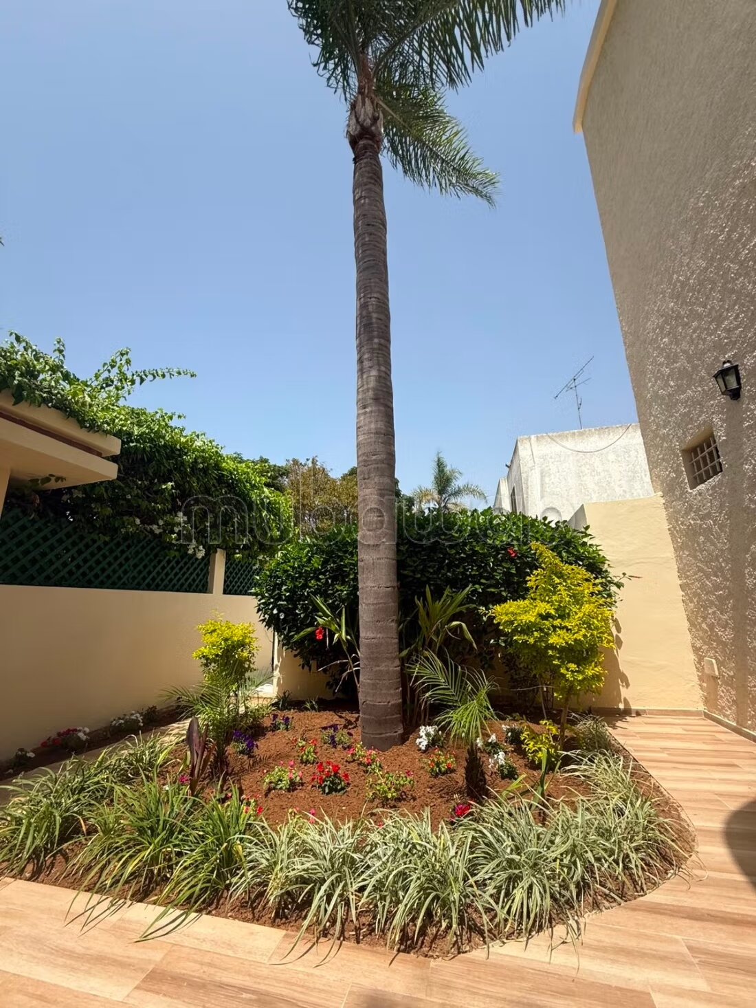 Villa à louer à Hay Riad, الرباط — Photo 6