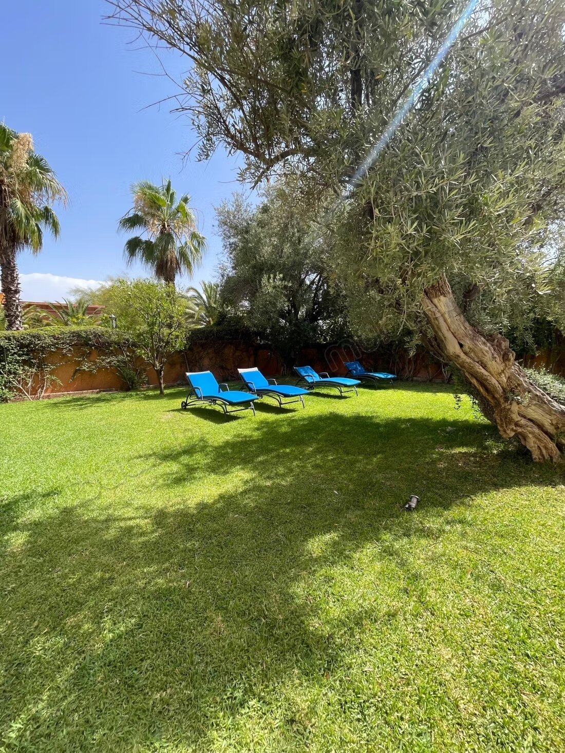 Villa 4 chambres à louer à Marrakech — Photo 6