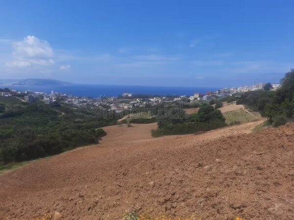 Terrain 9156 m² à vendre à Tanger – Nouinouich — Photo 10