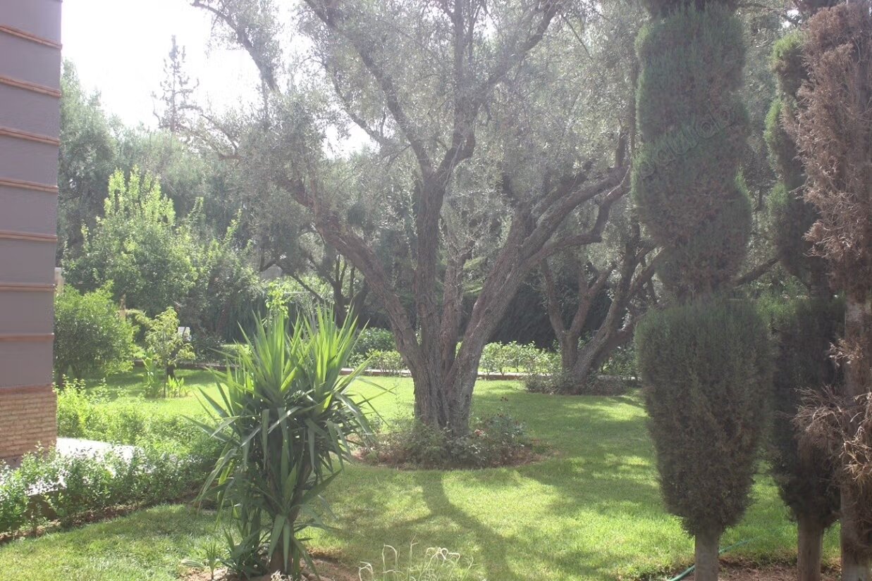 Villa for rent in Marrakech — Photo 8