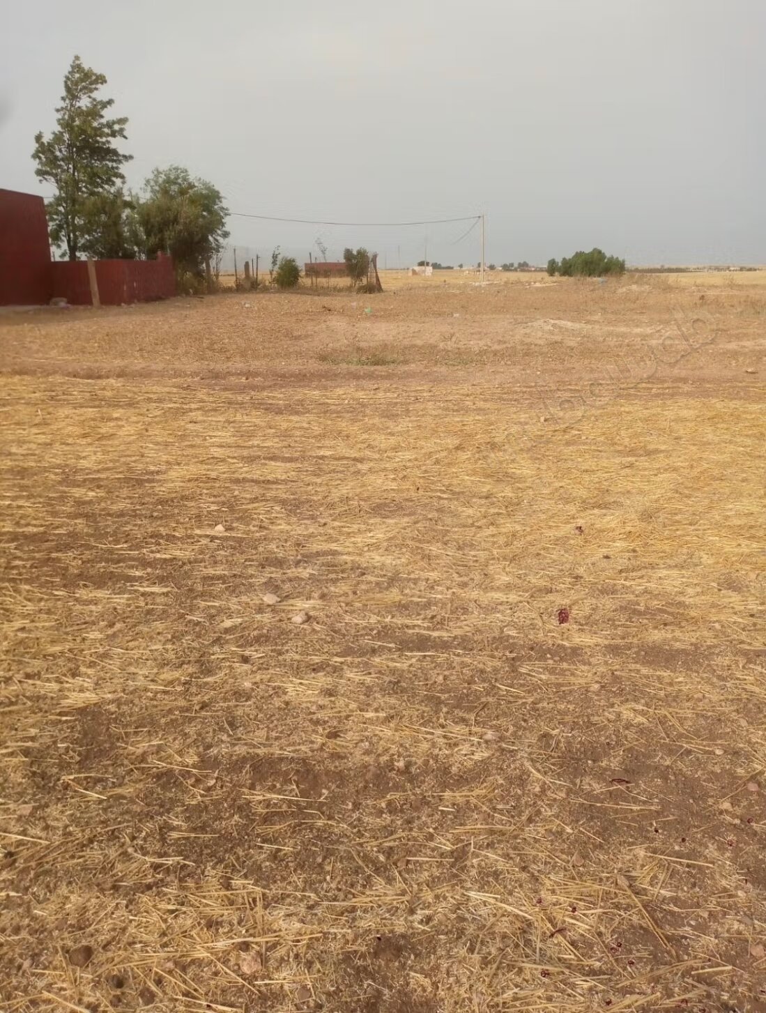 Terrain 1 ha à vendre à Casablanca - Oulad Saïd à Casablanca