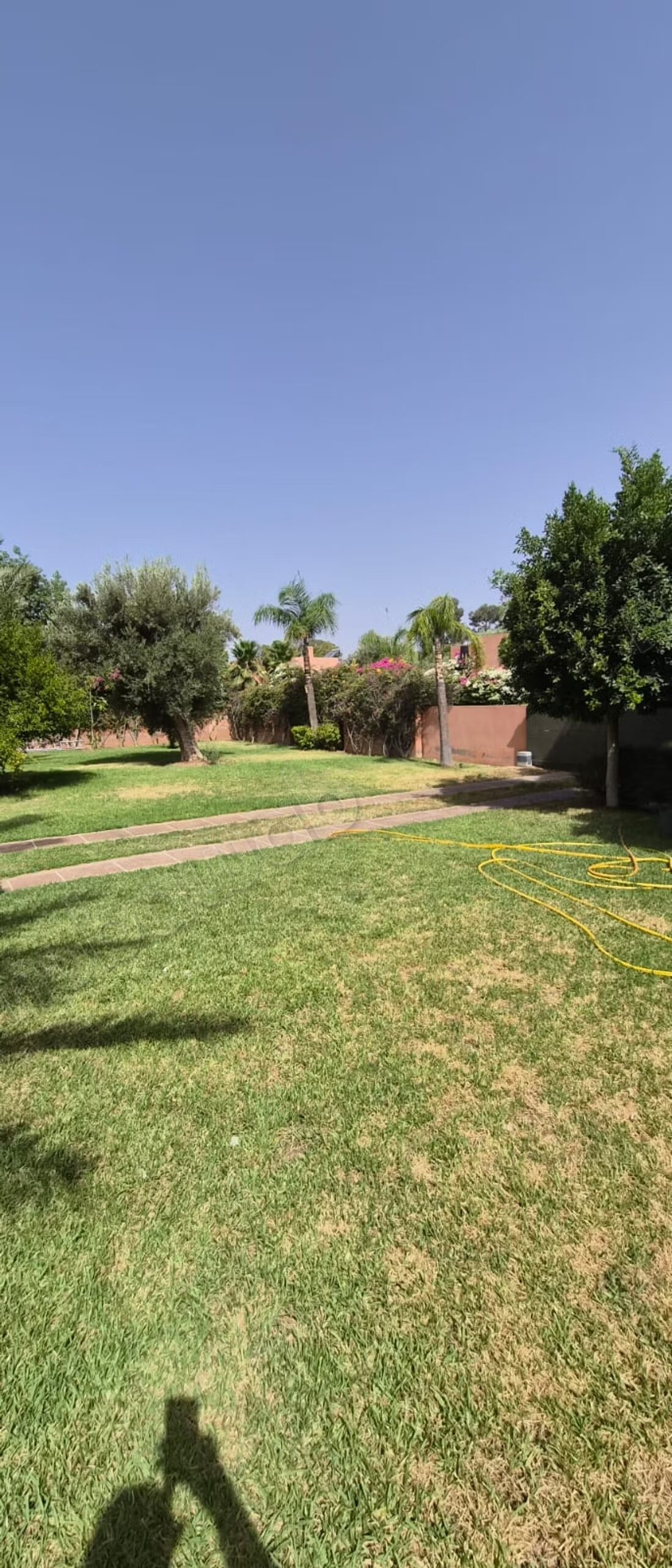 4‑Bedroom Villa for Rent in Marrakech – Palmeraie — Photo 4