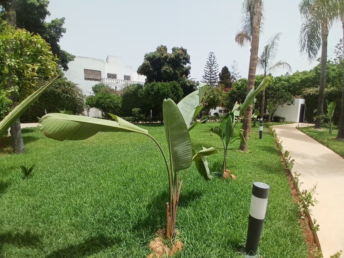 فيلا للإيجار في الرباط (سويّسي) — Photo 8
