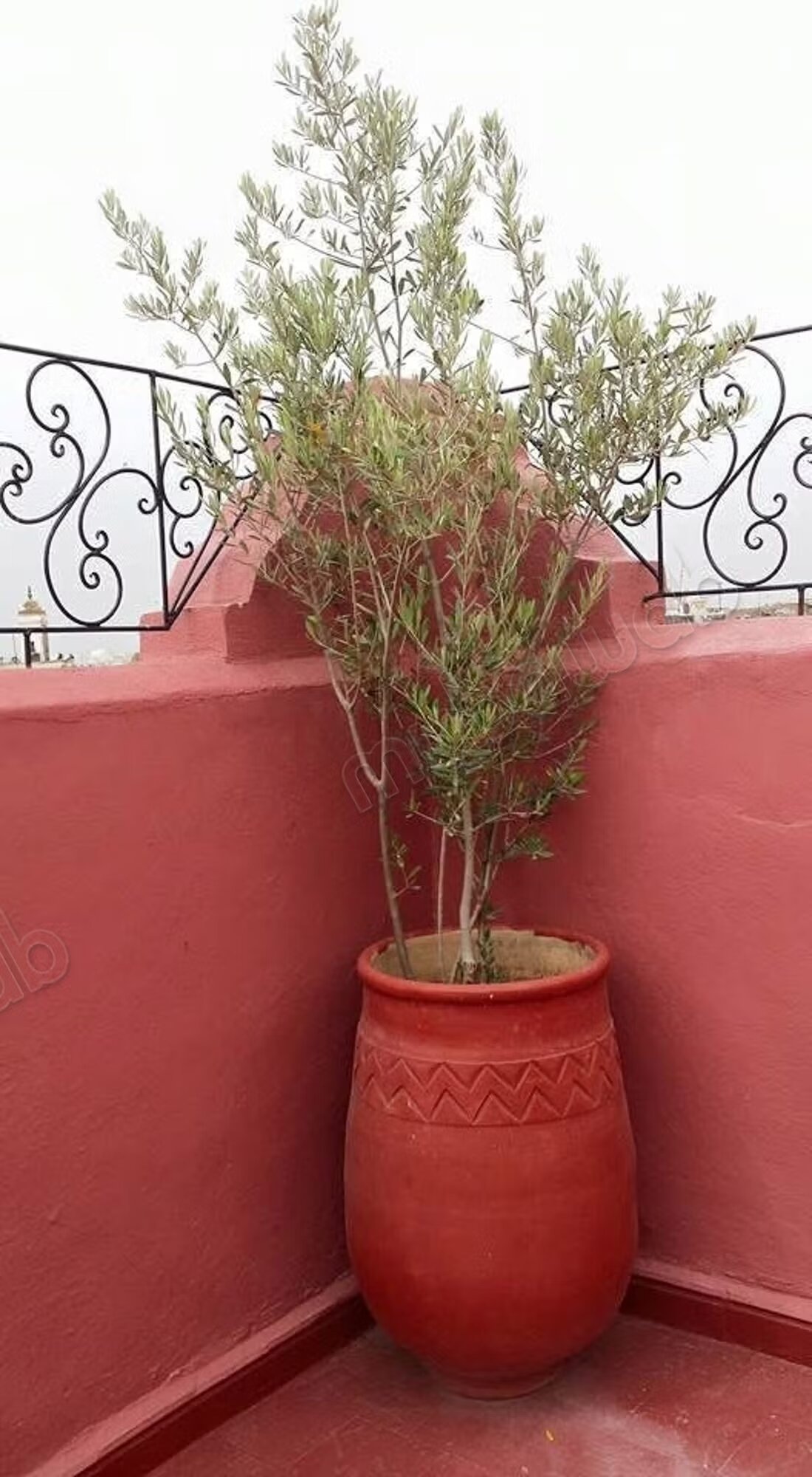 رياض 200 م² للبيع في فاس — Photo 19