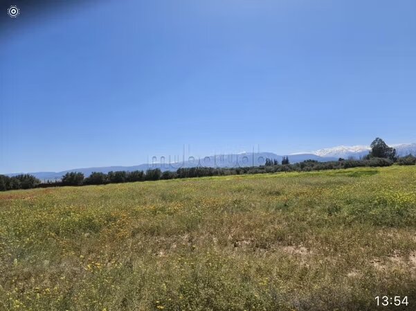 أرض 5 951 م² للبيع — Photo 5