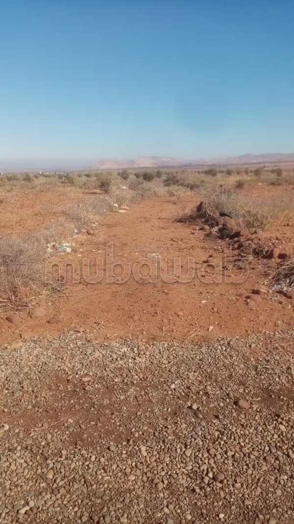 أرض 5 951 م² للبيع — Photo 6
