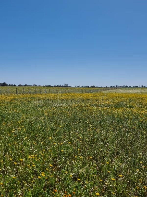 Land 180 sqm for sale in Bouznika — Photo 3