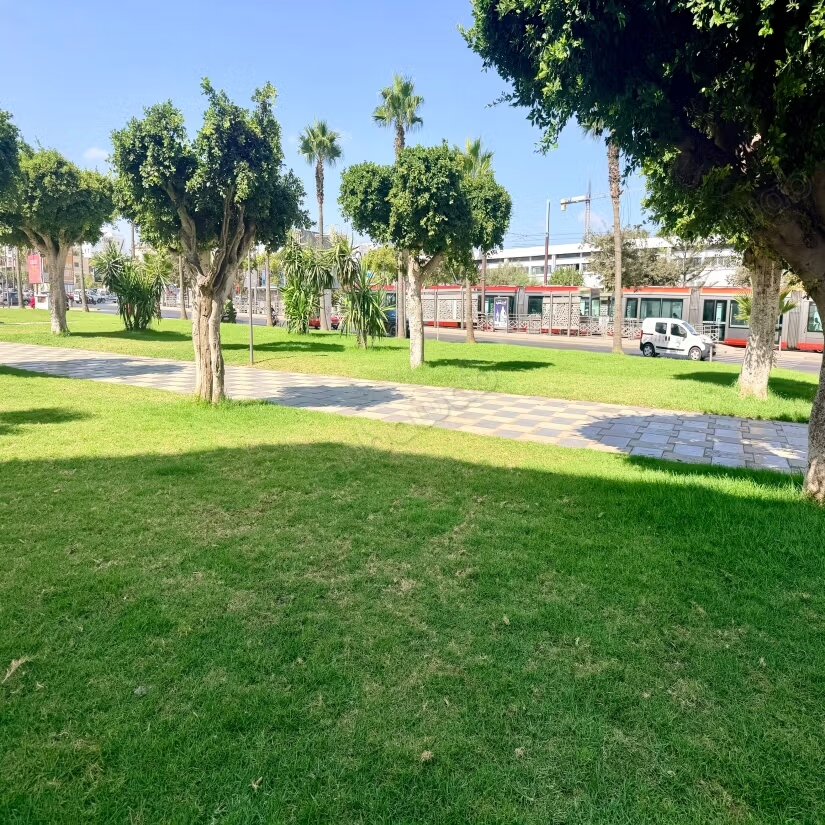 ستوديو فاخرة للإيجار في الدار البيضاء – تانتون فيل — Photo 20