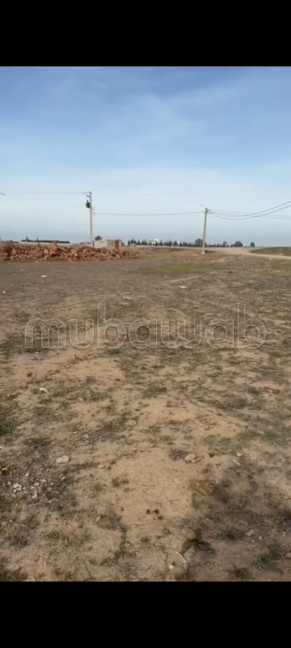 Terrain 11 000 m² à vendre à Casablanca — Photo 4