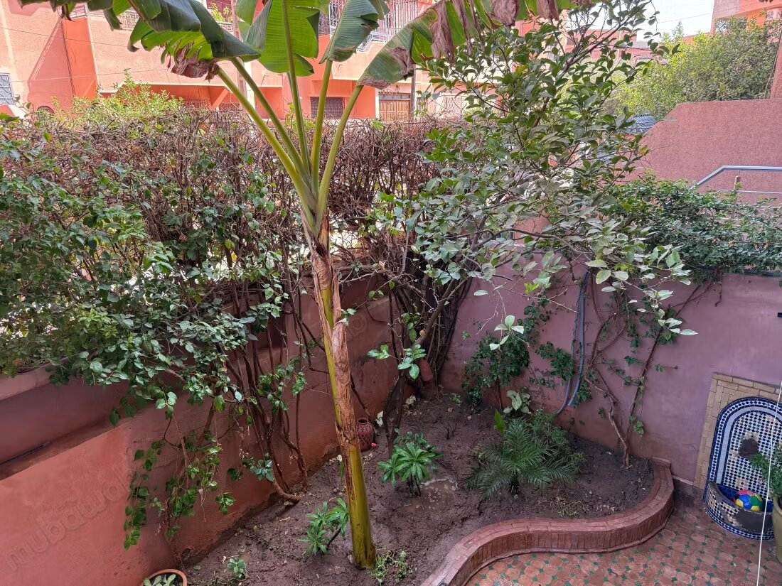 فيلا 120 م² للإيجار في مراكش — Photo 3