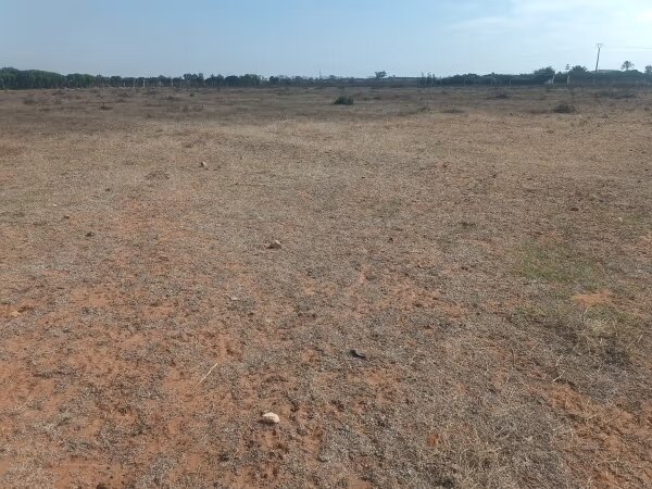 10,000 m² Land for Sale in Hadd Soualem — Photo 2