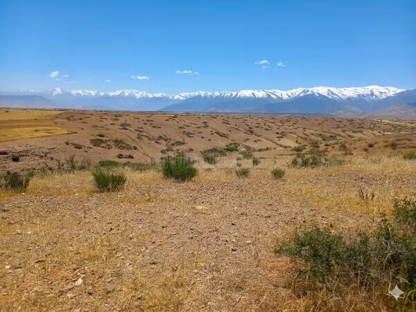 Plot 50,000 m² for Sale in Marrakech — Photo 2