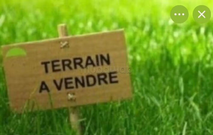 Plot 50,000 m² for Sale in Marrakech — Photo 5
