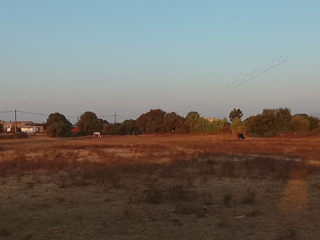 Terrain 2000 m² à vendre à Asilah à Asilah