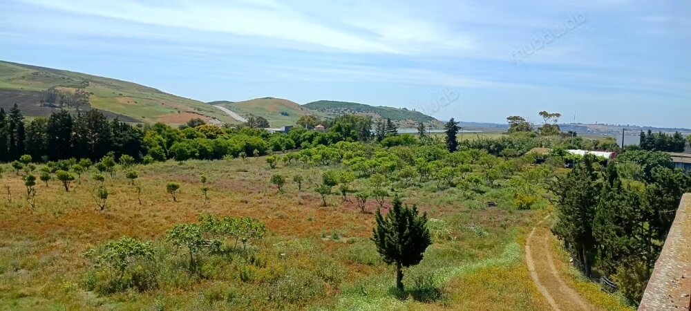 Terrain 7465 m² à vendre à Larache — Photo 4