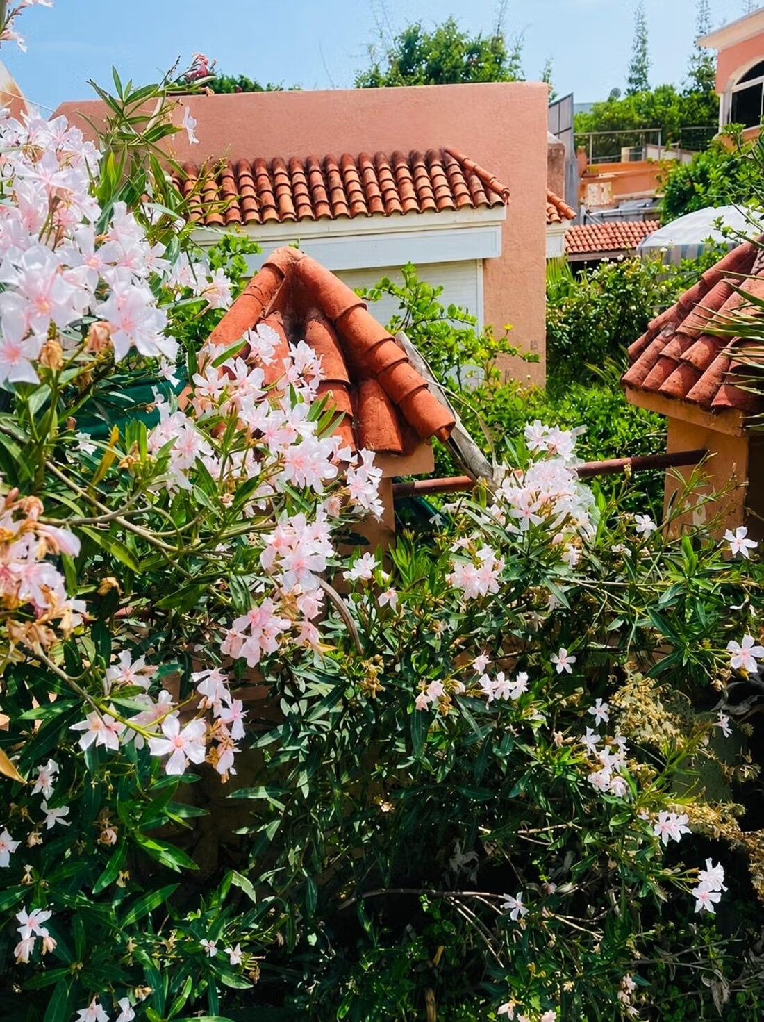 Villa 398 m² à vendre à Casablanca - Ain Diab à Casablanca