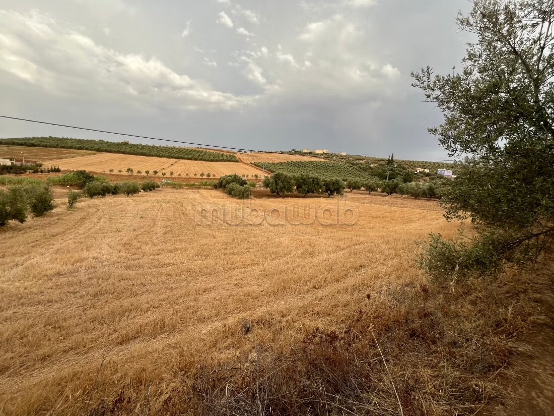أرض للبيع — Photo 6