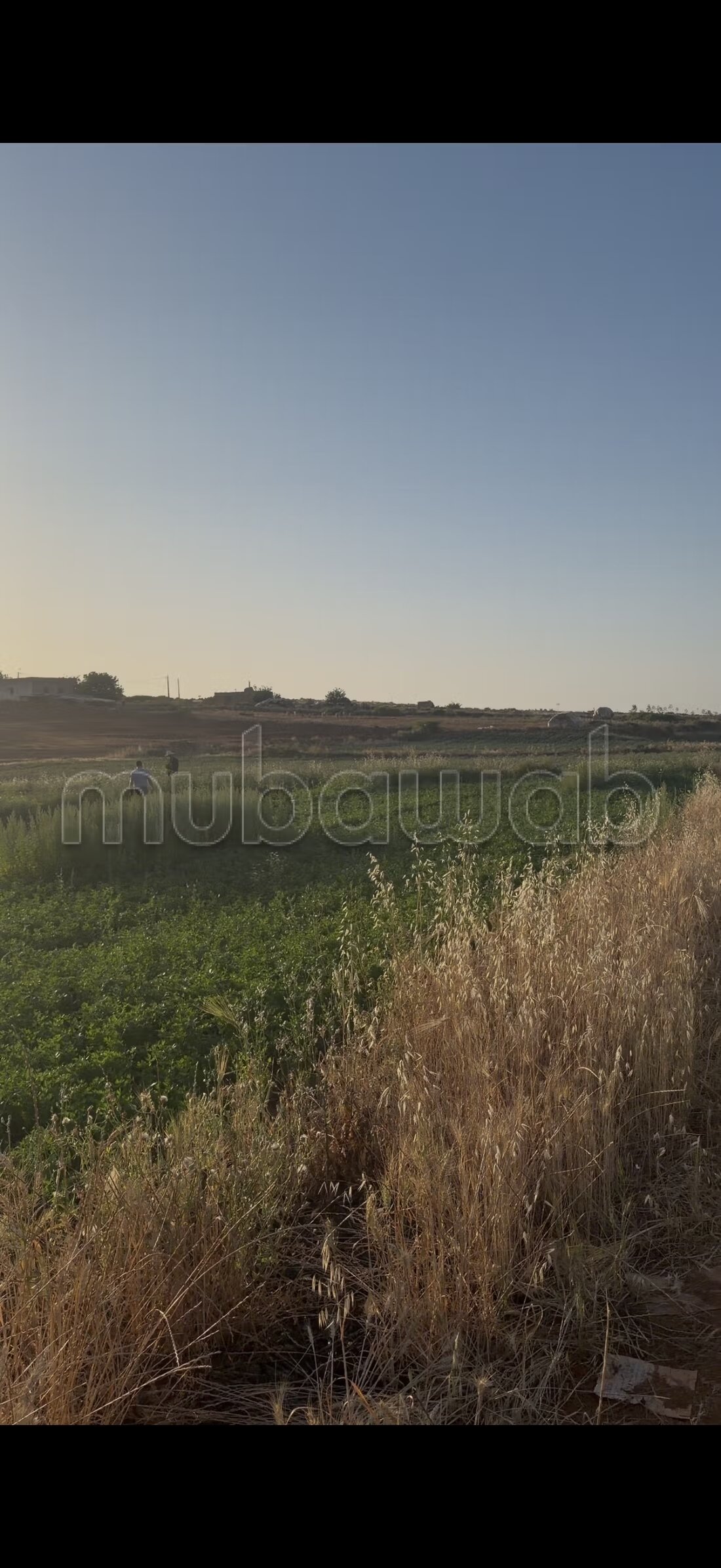 أرض للبيع — Photo 46
