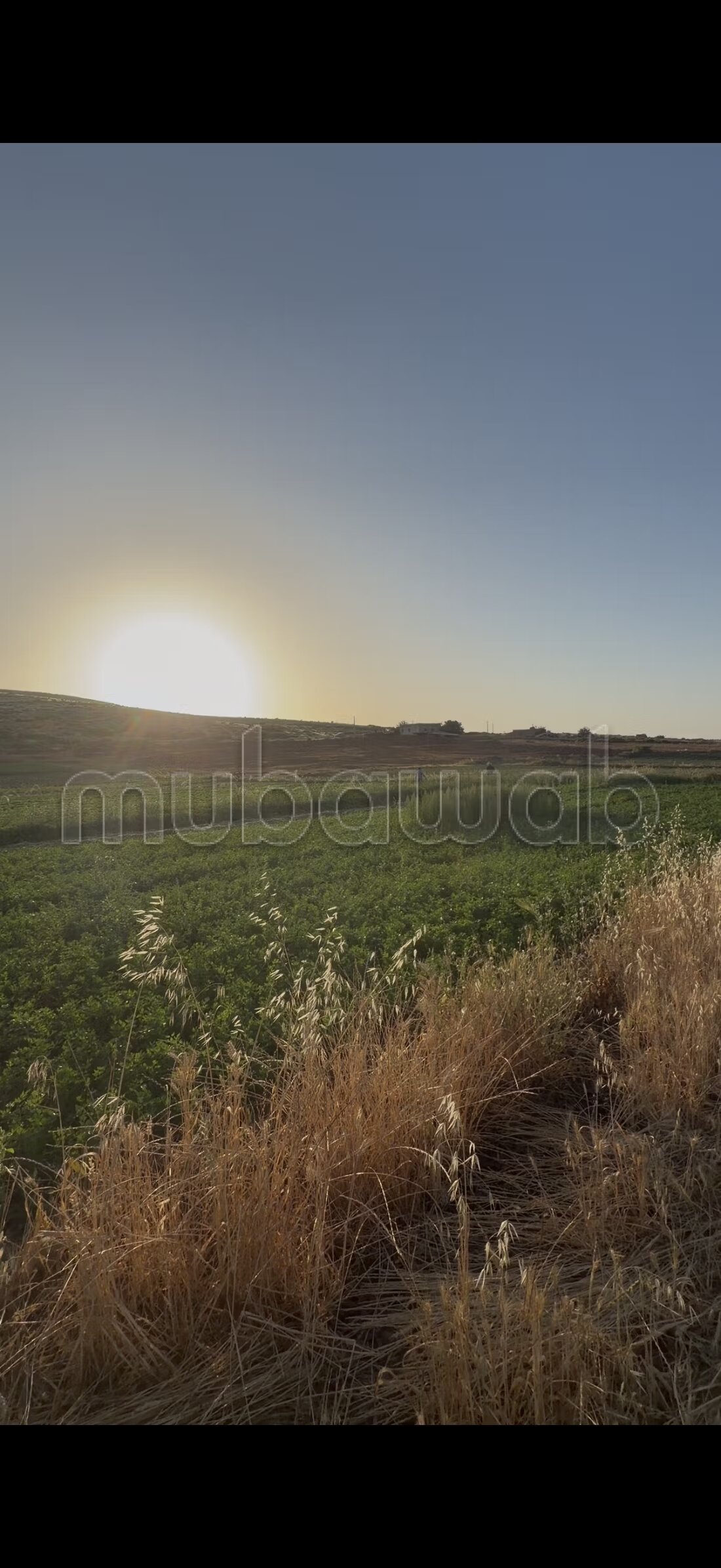 أرض للبيع — Photo 47