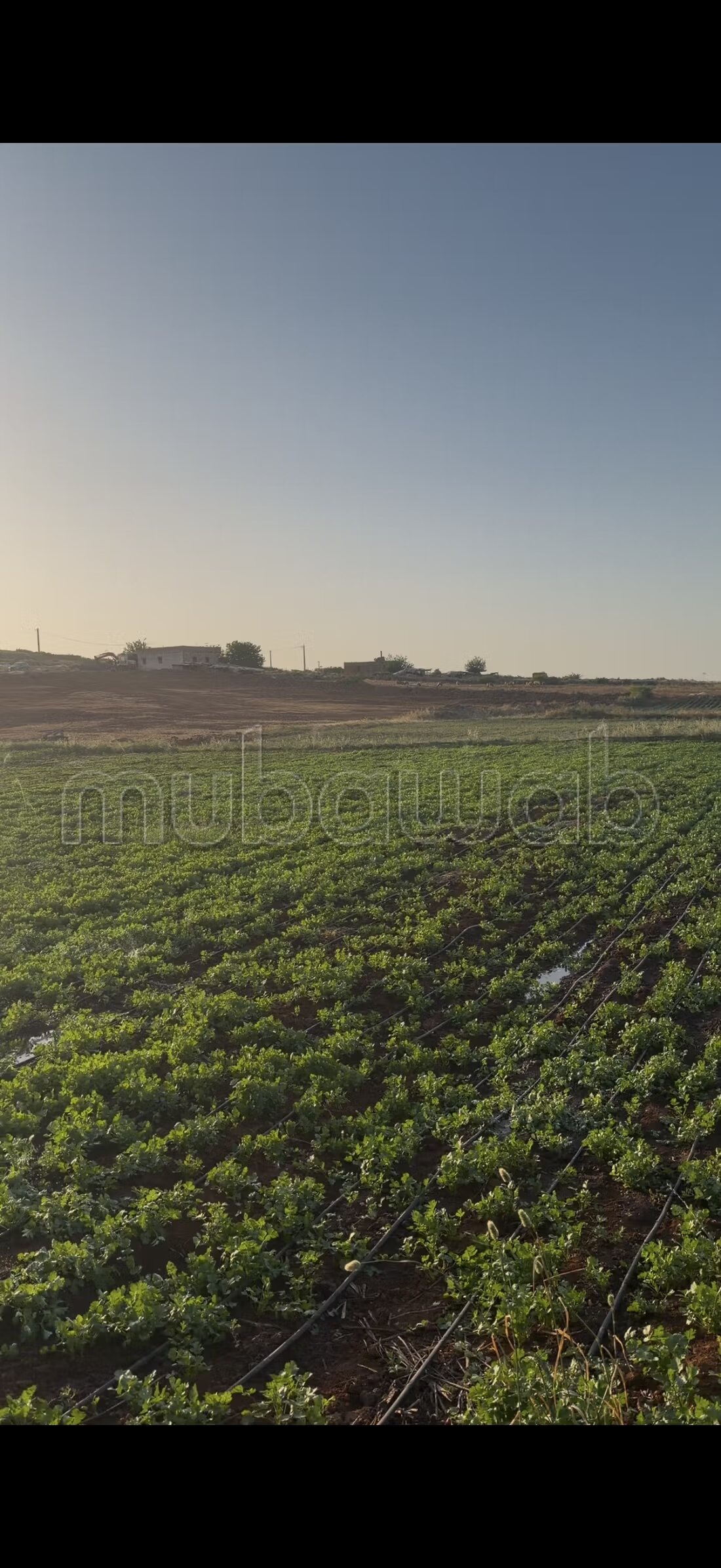 أرض للبيع — Photo 49