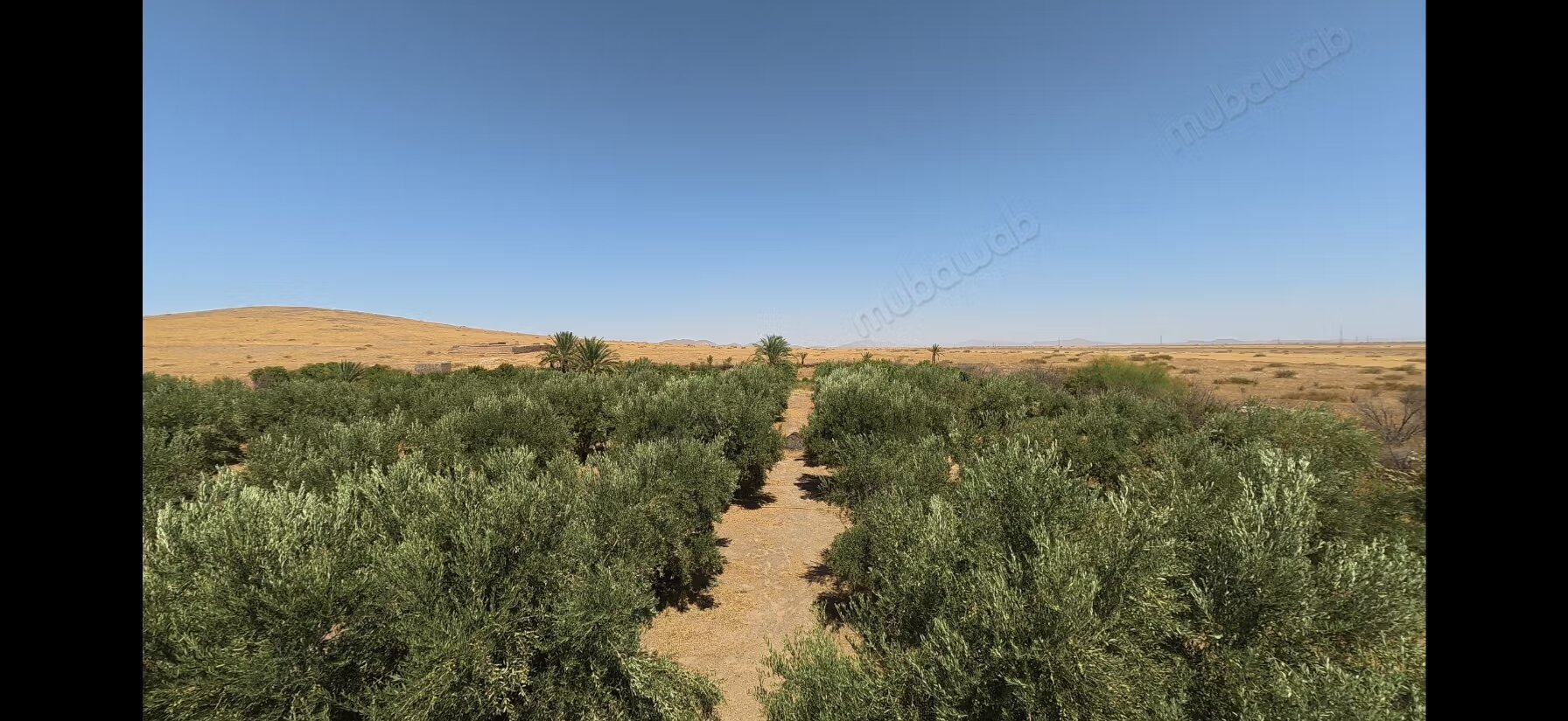 Terrain 10 800 m² à vendre à Marrakech à Marrakech
