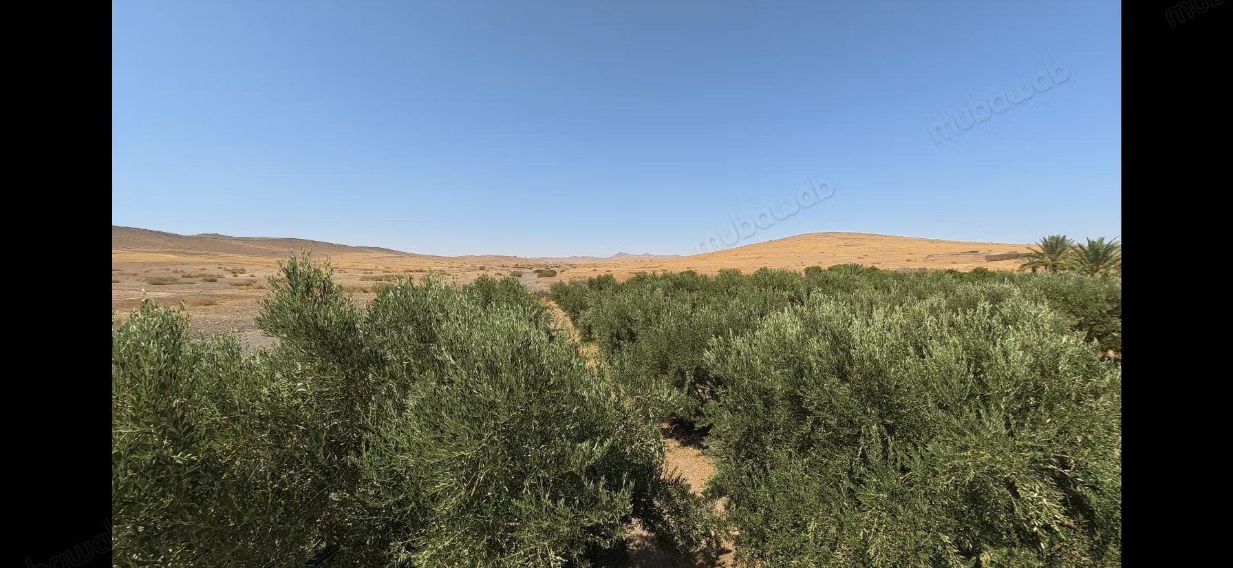 Land 10800 m² for sale in Marrakech — Photo 3