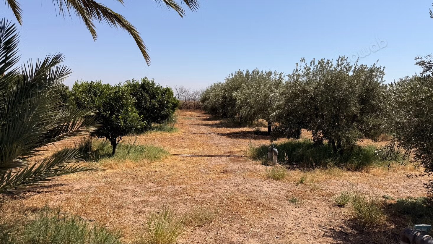 Land 10800 m² for sale in Marrakech — Photo 7