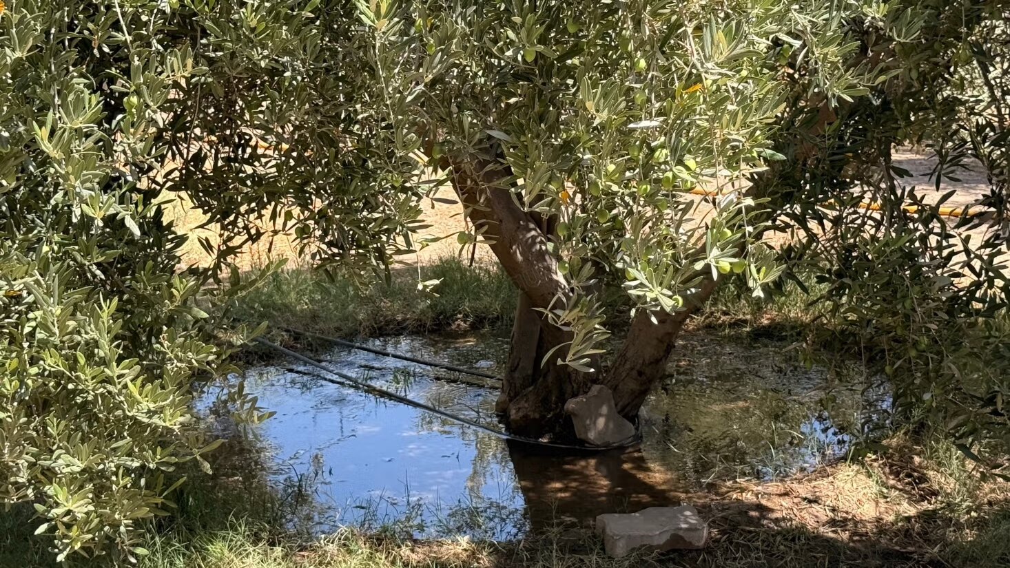Land 10800 m² for sale in Marrakech — Photo 15