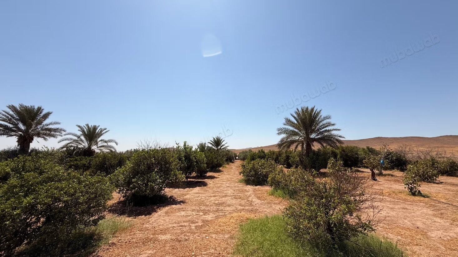 Land 10800 m² for sale in Marrakech — Photo 20