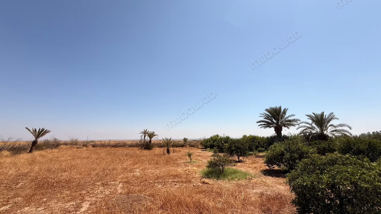 Land 10800 m² for sale in Marrakech — Photo 22