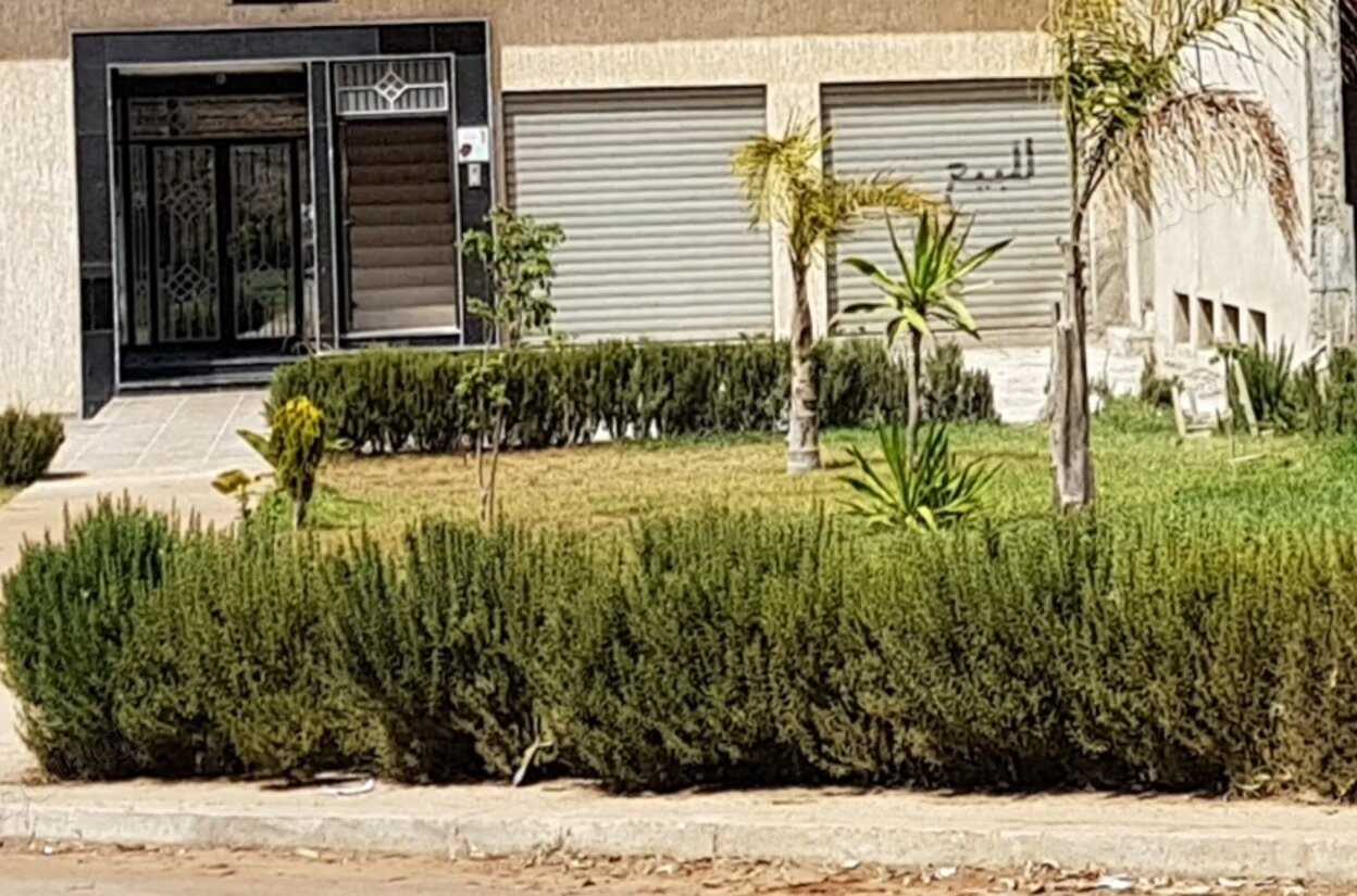 Bureau 62 m² à vendre à Kénitra à Kénitra