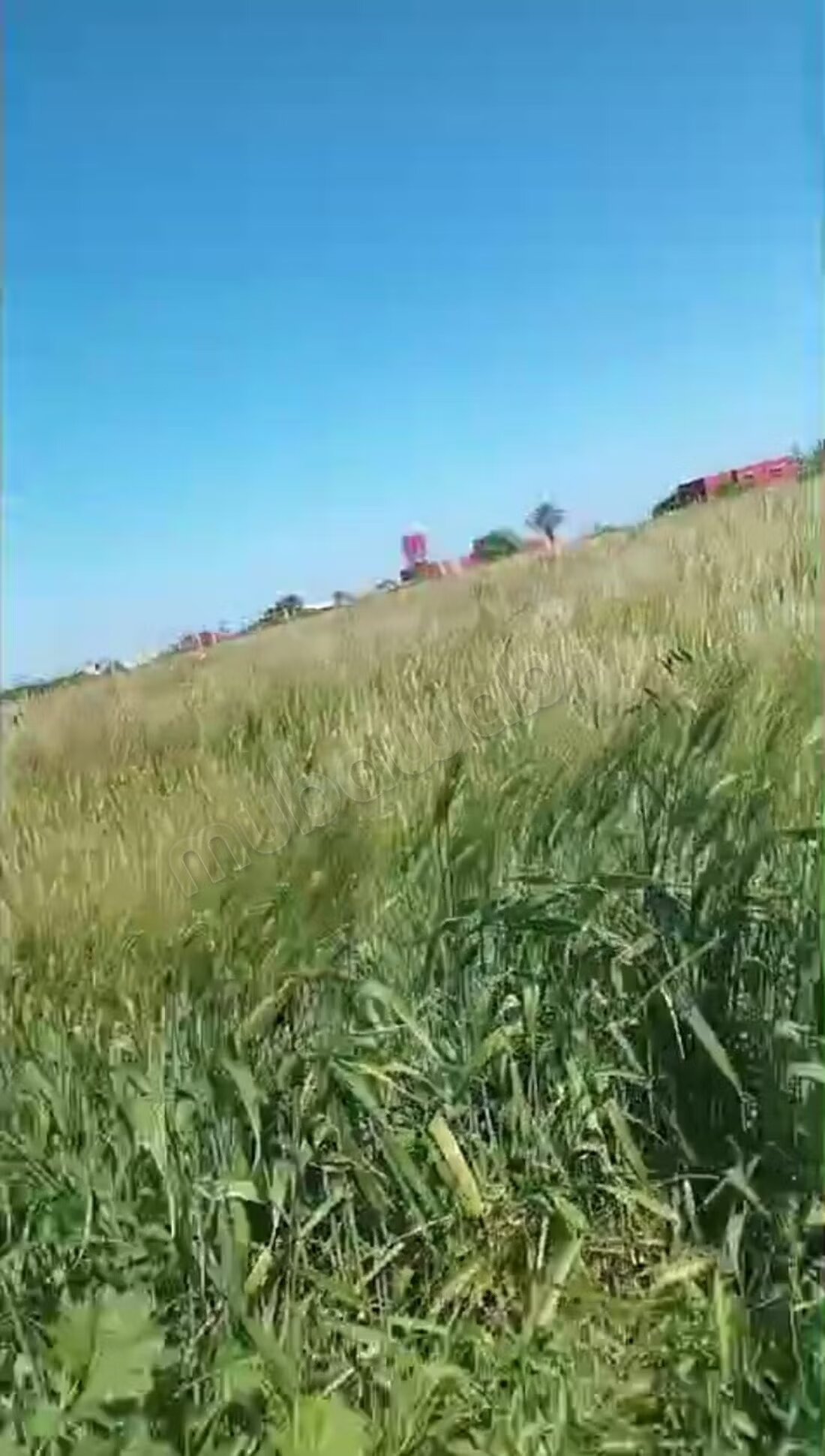 Plot for sale 2,800 m² in Douar Ouled Massoud — Photo 5