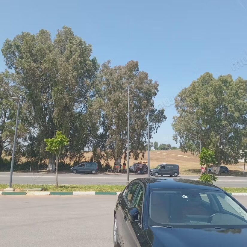 Terrain for sale in Mers Elkheir — Photo 2