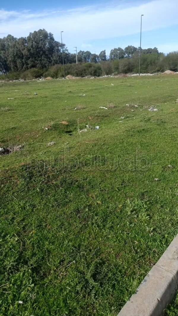أرض 380 م² للبيع في القنيطرة — Photo 5