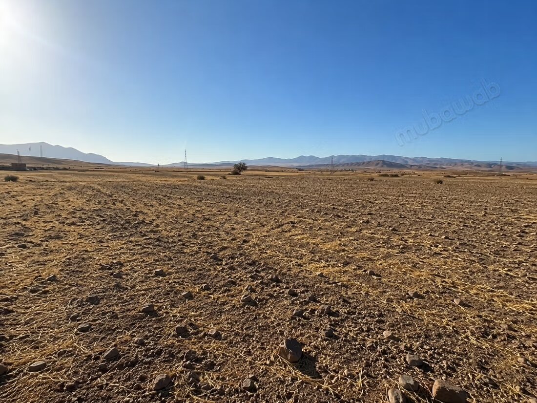 Terrain 8 hectares à vendre à Borous, Marrakech à Marrakech