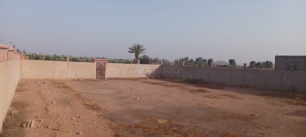 Terrain 8 hectares à vendre à Borous, Marrakech — Photo 13