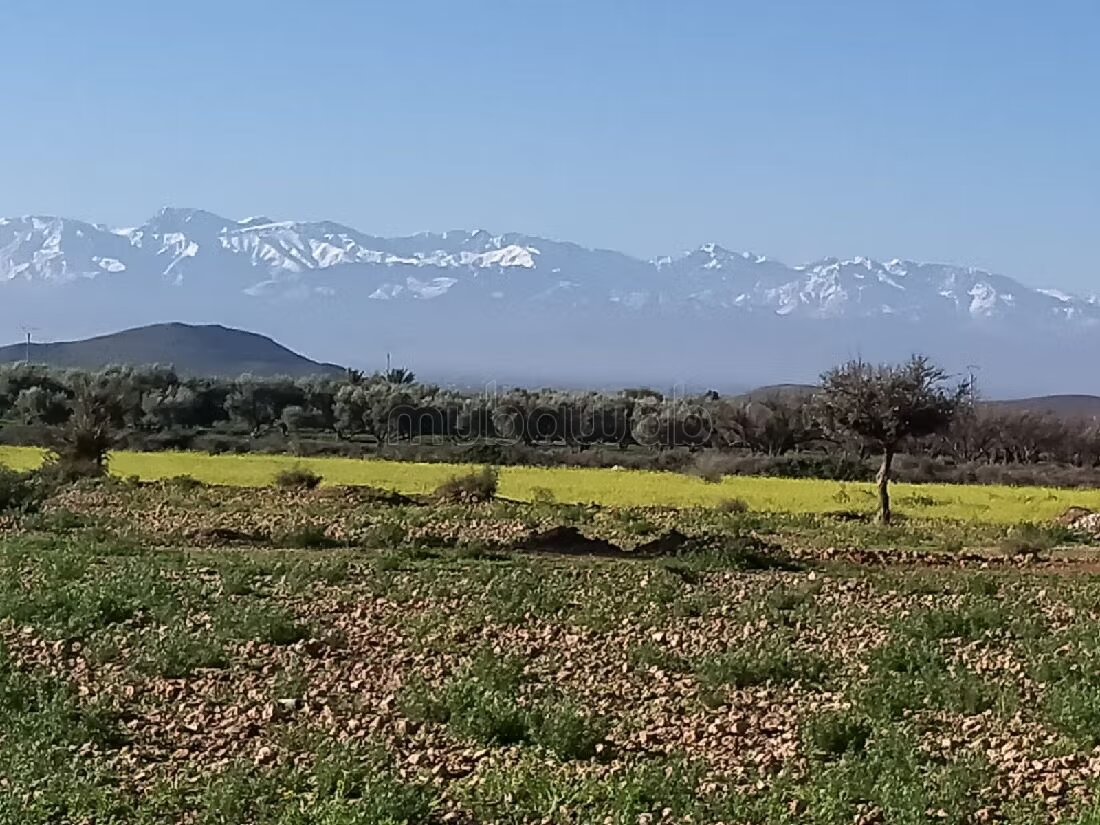 Terrain 8 hectares à vendre à Borous, Marrakech — Photo 40